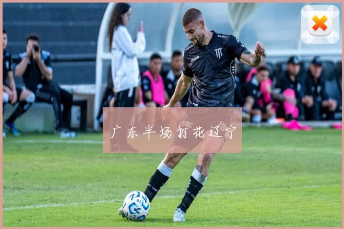 广东半场打花辽宁