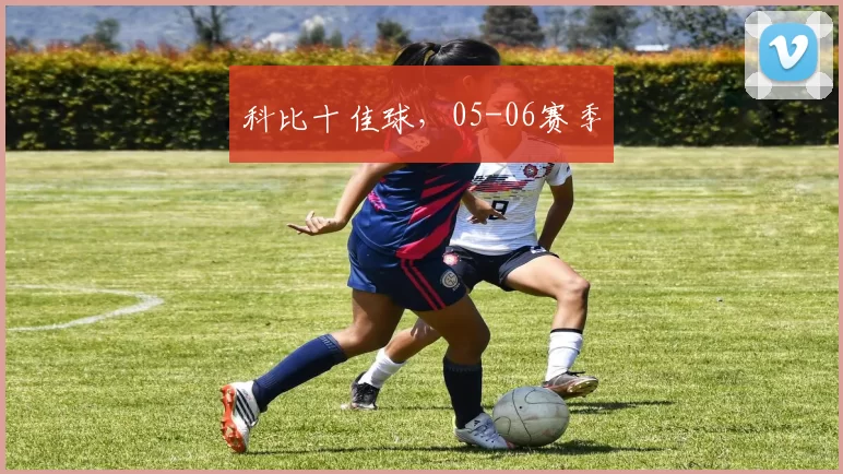科比十佳球，05-06赛季