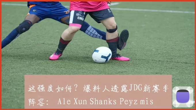 这强度如何？爆料人透露JDG新赛季阵容： Ale Xun Shanks Peyz missing