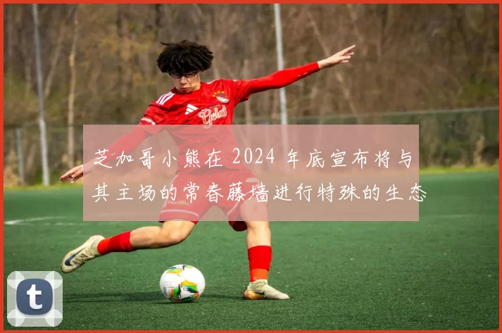 芝加哥小熊在 2024 年底宣布将与其主场的常春藤墙进行特殊的生态保护项目