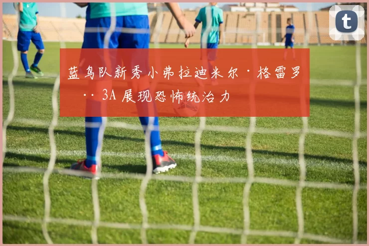 蓝鸟队新秀小弗拉迪米尔·格雷罗在 3A 展现恐怖统治力