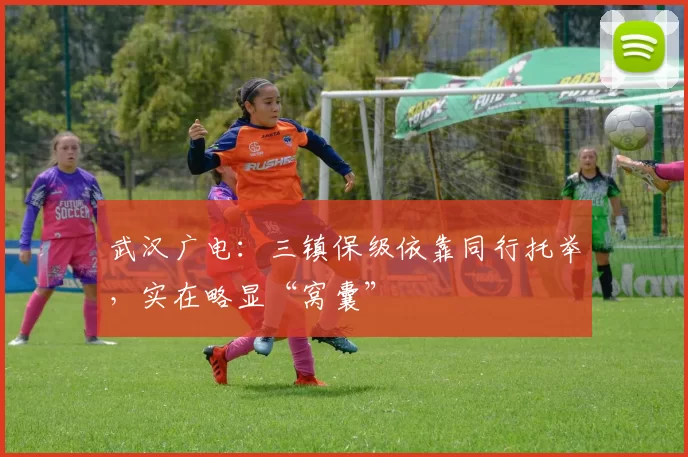 武汉广电：三镇保级依靠同行托举，实在略显“窝囊”