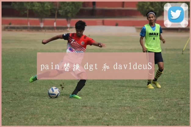 pain 替换 dgt 和 dav1deuS