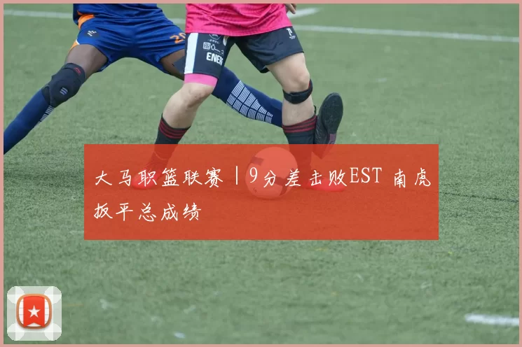 大马职篮联赛｜9分差击败EST 南虎扳平总成绩