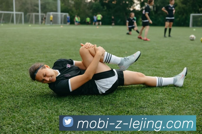 乐竟体育平台生态图